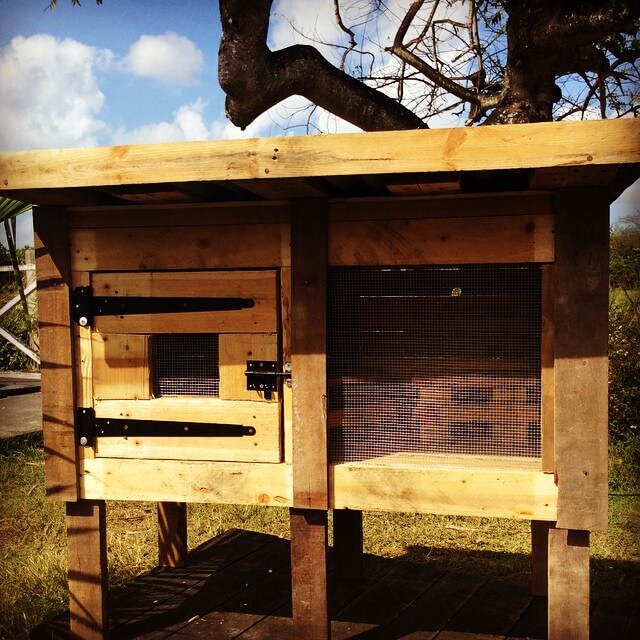 Pallet Chicken Coop - Wooden Rabbit Hutch - Easy Pallet Ideas