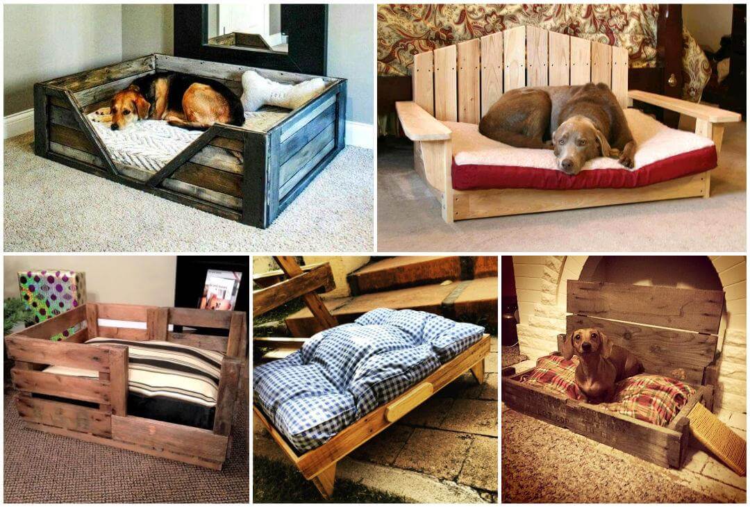 40 Diy Pallet Dog Bed Ideas Don T Know Which I Love More Easy